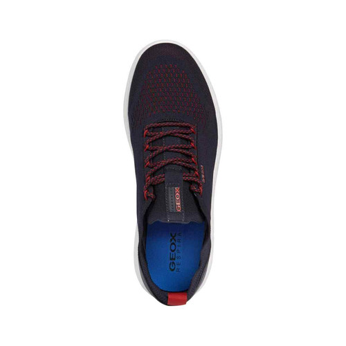 Baskets homme Geox