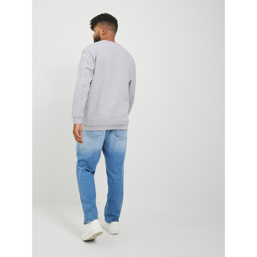 Sweat-shirt Relaxed Fit Col ras du cou Manches longues Gris Clair Cody