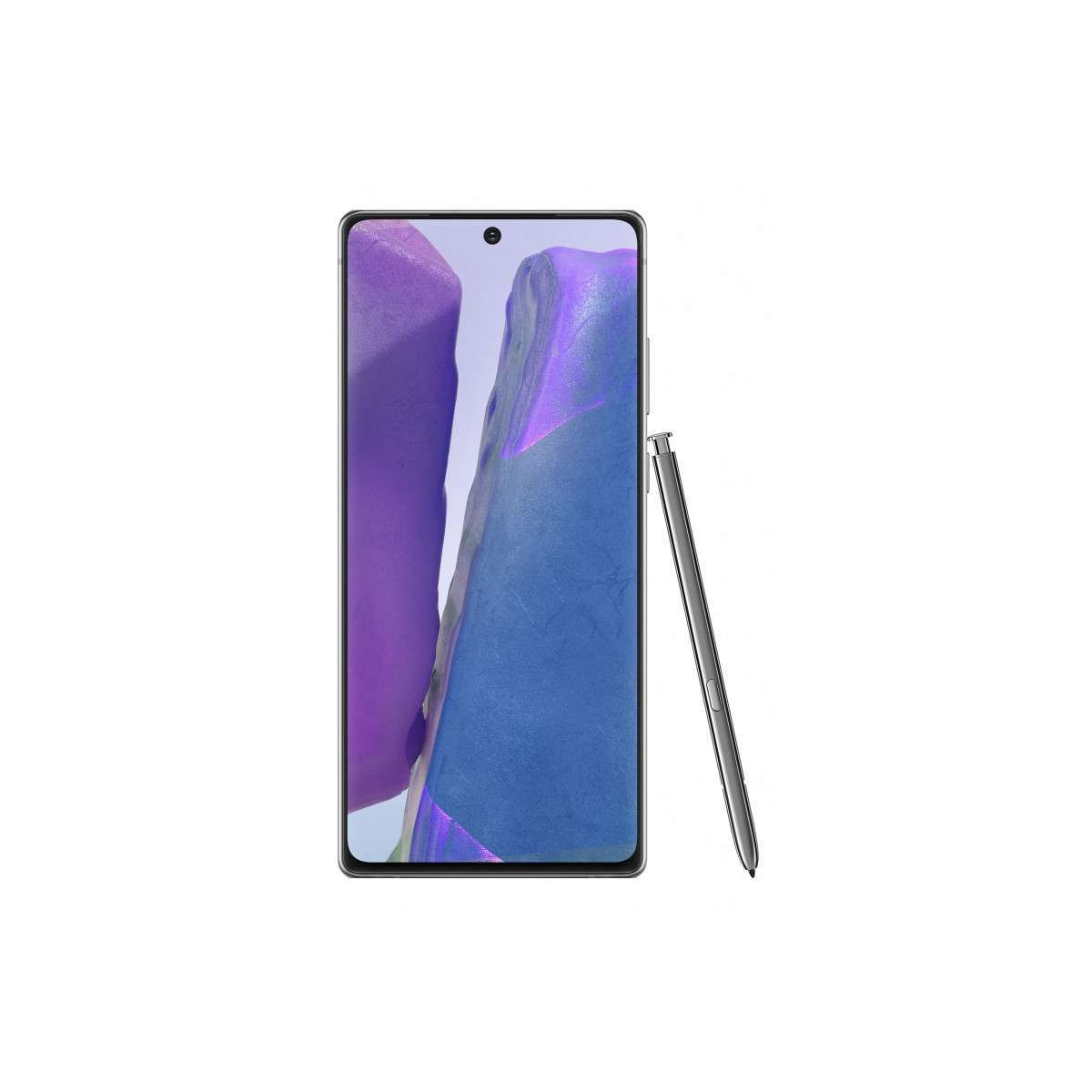 Galaxy Note 20 5G - 256Go - Entreprise Edition - Gris