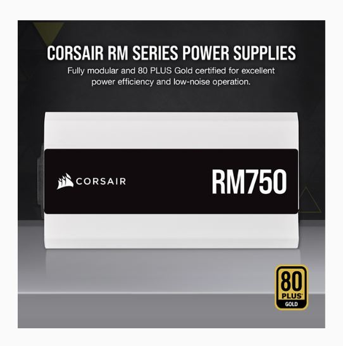 Corsair RM750x Alimentation PC (Modulaire Complet, 750 Watt, 80 PLUS Gold)  Blanc : : Informatique