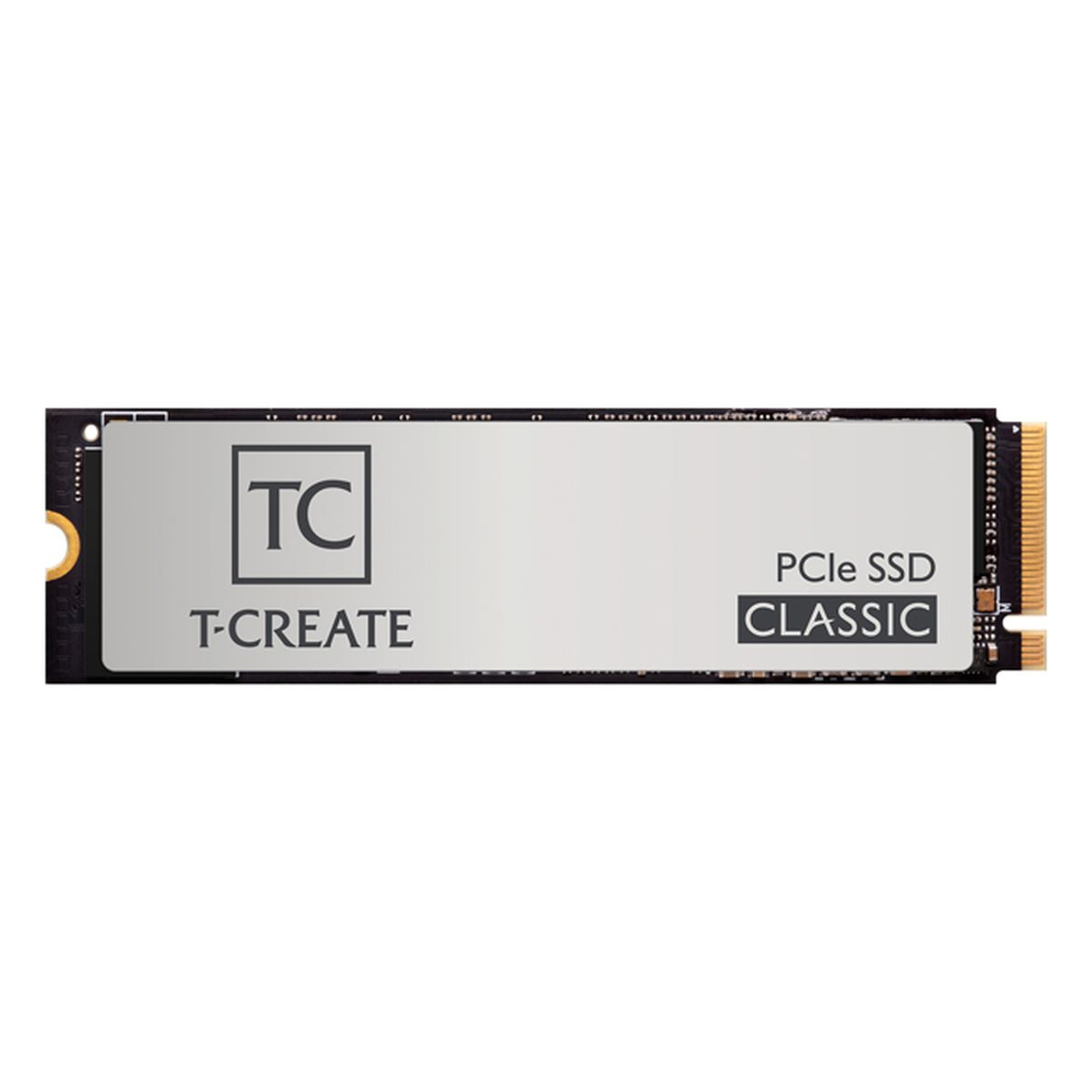 SSD interne - TM8FPE002T0C611 - 2100 mo/s