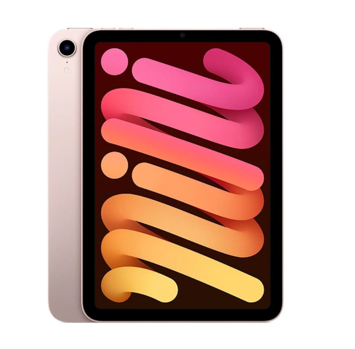 iPad mini Wi Fi 64GO Rose